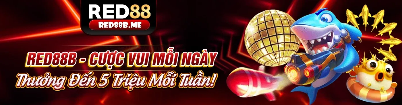 Melbet Code là gì và hoạt động như thế nào